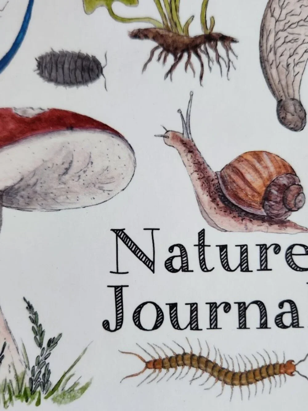 NEW Nature Journal for Kids Activity Book Notebook Hardcover Book Birdwatching B